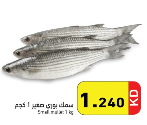 available at  رامز in الكويت - محافظة الجهراء