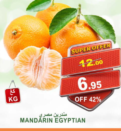 Orange from Egypt available at Khair Beladi Market in KSA, Saudi Arabia, Saudi - Yanbu