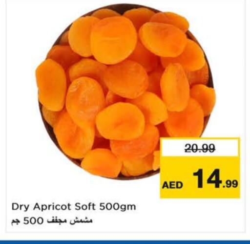 Apricot available at لاست تشانس in الإمارات العربية المتحدة , الامارات - الشارقة / عجمان