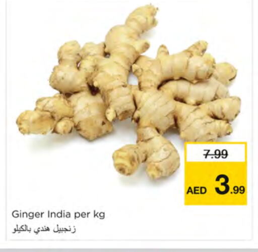 زنجبيل from India available at نستو هايبرماركت in الإمارات العربية المتحدة , الامارات - دبي