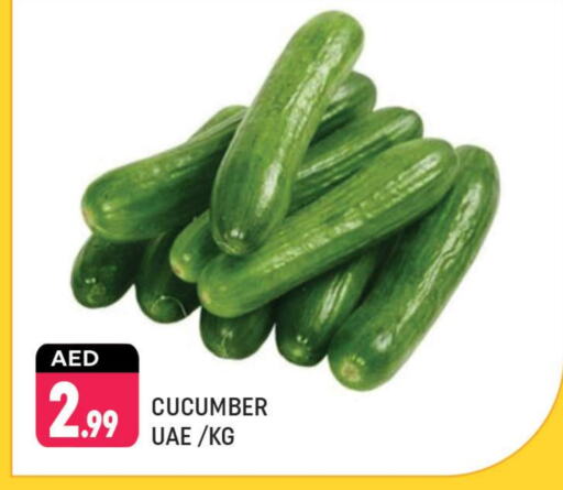 Cucumber available at Shaklan  in UAE - Dubai