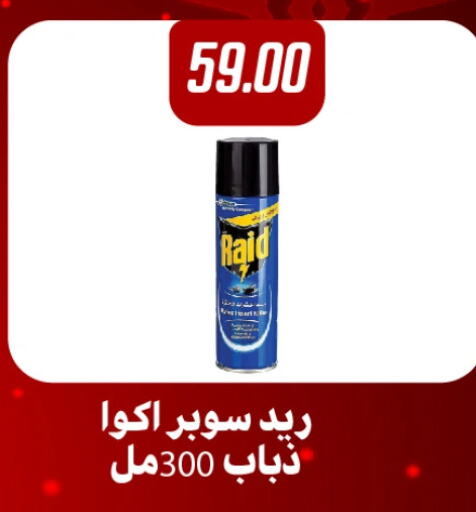 RAID available at Hyper Samy Salama Sons in Egypt - Cairo