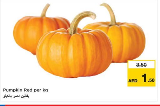 Pumpkin available at لاست تشانس in الإمارات العربية المتحدة , الامارات - ٱلْفُجَيْرَة‎