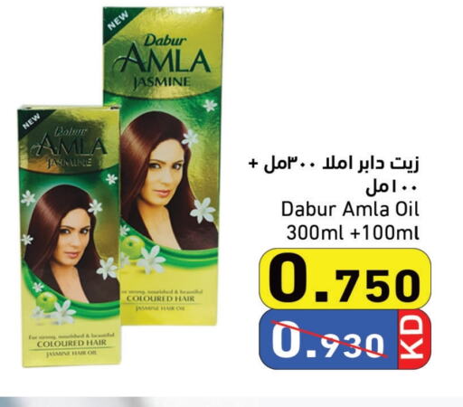 دابر زيت شعر available at  رامز in الكويت - محافظة الجهراء