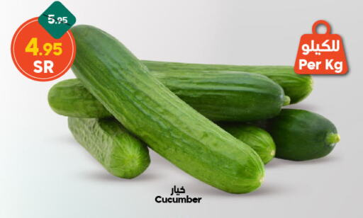 Cucumber available at Dukan in KSA, Saudi Arabia, Saudi - Medina