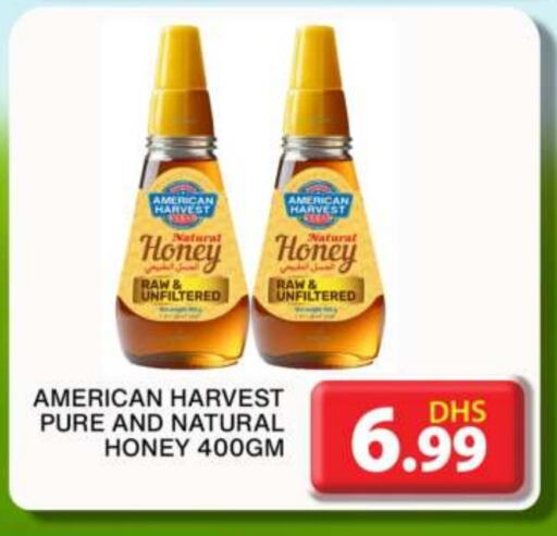 AMERICAN HARVEST Honey available at Grand Hyper Market in UAE - Dubai