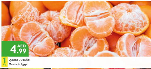 Orange from Egypt available at Istanbul Supermarket in UAE - Al Ain