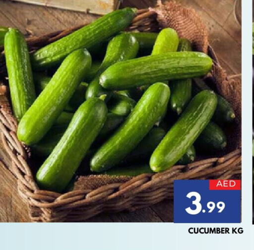 Cucumber available at المدينة in الإمارات العربية المتحدة , الامارات - الشارقة / عجمان