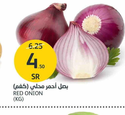 Onion available at AlJazera Shopping Center in KSA, Saudi Arabia, Saudi - Riyadh