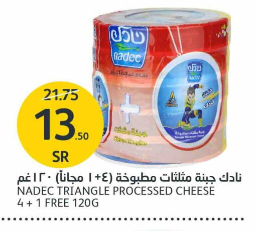 NADEC Triangle Cheese available at AlJazera Shopping Center in KSA, Saudi Arabia, Saudi - Riyadh