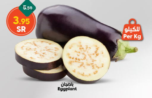 Eggplant available at الدكان in مملكة العربية السعودية, السعودية, سعودية - جدة