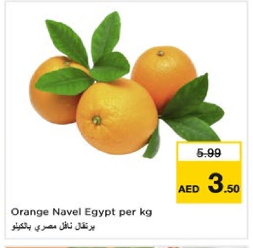 برتقال from Egypt available at نستو هايبرماركت in الإمارات العربية المتحدة , الامارات - ٱلْفُجَيْرَة‎