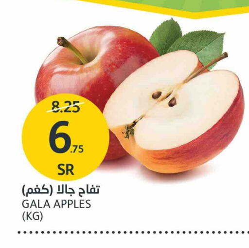 Apples available at AlJazera Shopping Center in KSA, Saudi Arabia, Saudi - Riyadh