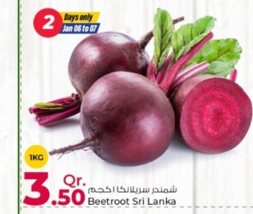 شمندر from Sri Lanka available at روابي هايبرماركت in قطر - الشمال