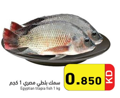 available at Ramez in Kuwait - Jahra Governorate