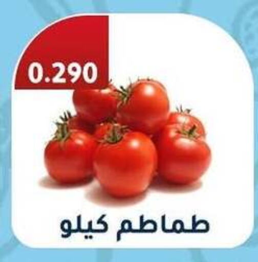 طماطم available at جمعية الرقة التعاونية in الكويت - محافظة الأحمدي