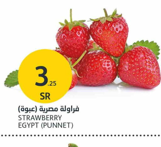 Strawberry from Egypt available at AlJazera Shopping Center in KSA, Saudi Arabia, Saudi - Riyadh