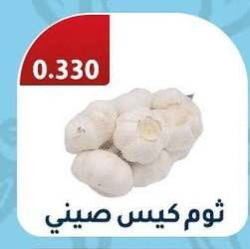 Garlic available at Riqqa Co-operative Society in Kuwait - Jahra Governorate