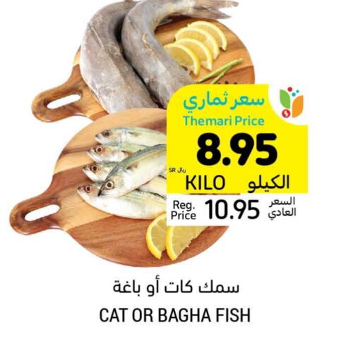 available at Tamimi Market in KSA, Saudi Arabia, Saudi - Al Hasa