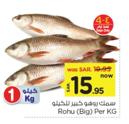 available at Nesto in KSA, Saudi Arabia, Saudi - Al Hasa