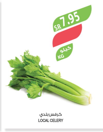 كرفس available at المزرعة in مملكة العربية السعودية, السعودية, سعودية - سيهات