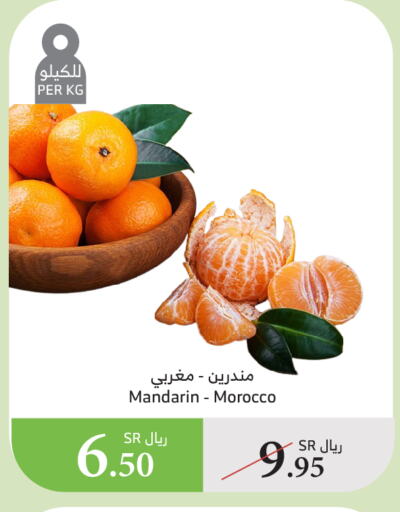 برتقال from Morocco available at الراية in مملكة العربية السعودية, السعودية, سعودية - المدينة المنورة