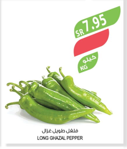 فلفل / فليفلة available at المزرعة in مملكة العربية السعودية, السعودية, سعودية - الخبر‎