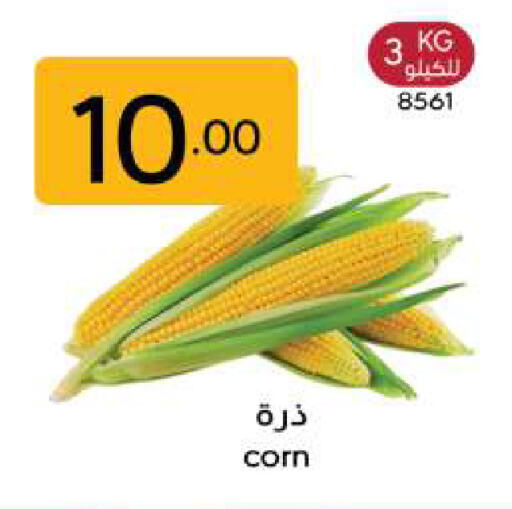 available at Manuel Market in KSA, Saudi Arabia, Saudi - Riyadh