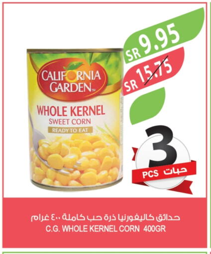 CALIFORNIA GARDEN available at Farm  in KSA, Saudi Arabia, Saudi - Abha