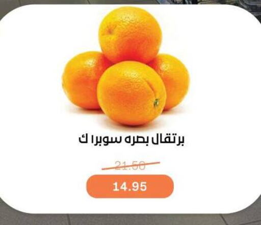 برتقال available at بيت الجملة in Egypt - القاهرة