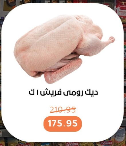 available at بيت الجملة in Egypt - القاهرة