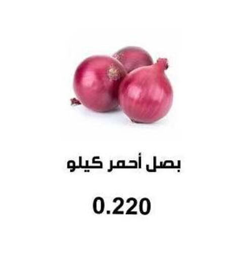 Onion available at Abu Fatira Coop  in Kuwait - Kuwait City