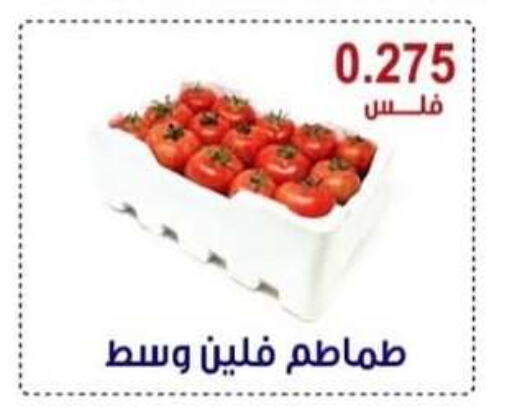 Tomato available at Egaila Cooperative Society in Kuwait - Ahmadi Governorate