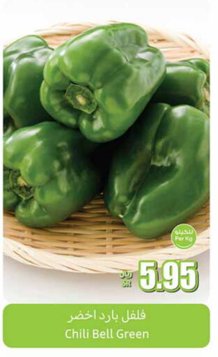 Chilli / Capsicum available at Othaim Markets in KSA, Saudi Arabia, Saudi - Wadi ad Dawasir