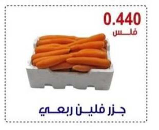 Carrot available at Egaila Cooperative Society in Kuwait - Ahmadi Governorate