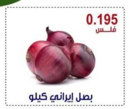 بصل available at جمعية العقيلة التعاونية in الكويت - محافظة الأحمدي