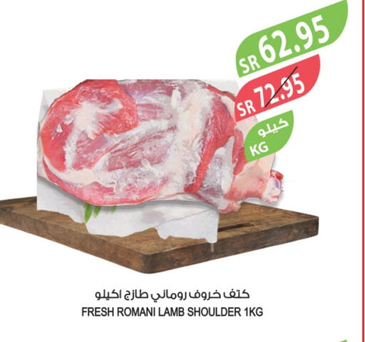 Mutton / Lamb available at Farm  in KSA, Saudi Arabia, Saudi - Abha