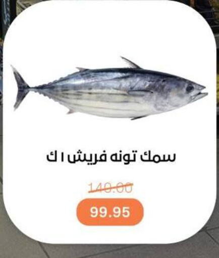 Tuna available at Beit El Gomla in Egypt - Cairo