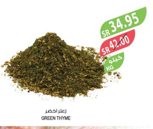 Spices available at Farm  in KSA, Saudi Arabia, Saudi - Saihat