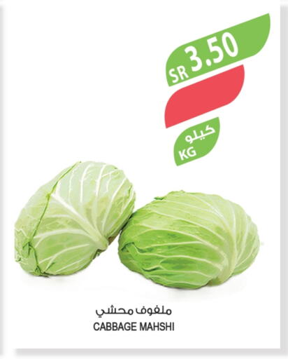 كرنب available at المزرعة in مملكة العربية السعودية, السعودية, سعودية - الخرج