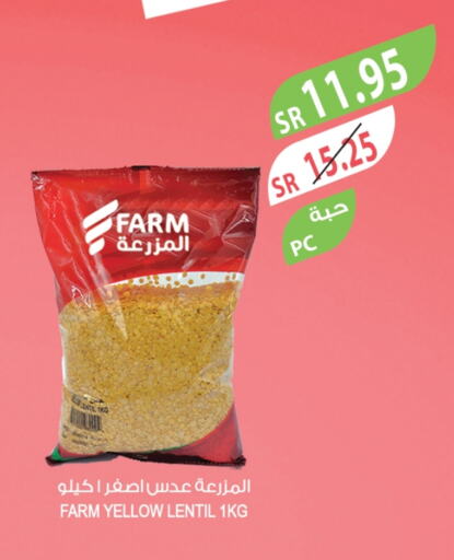 available at Farm  in KSA, Saudi Arabia, Saudi - Al Hasa