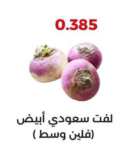 Turnip available at  Adailiya Cooperative Society in Kuwait - Jahra Governorate