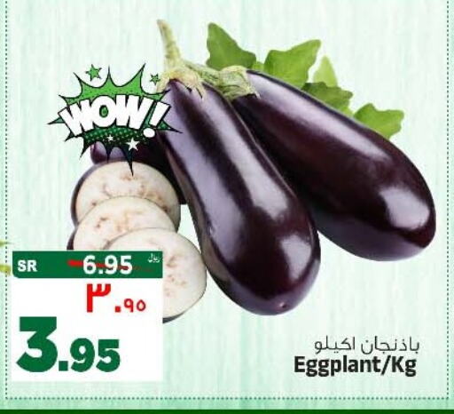 Eggplant available at Al Madina Hypermarket in KSA, Saudi Arabia, Saudi - Riyadh