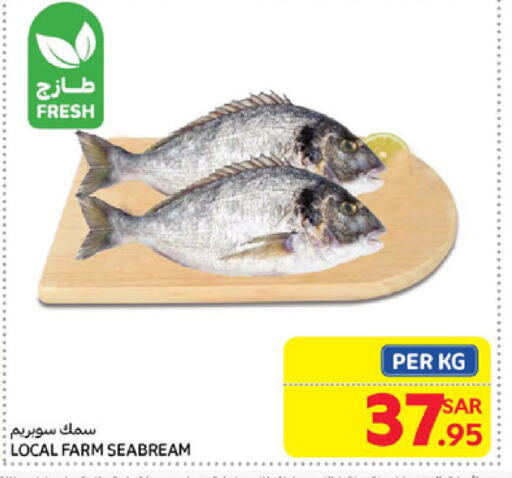 available at Carrefour in KSA, Saudi Arabia, Saudi - Al Khobar