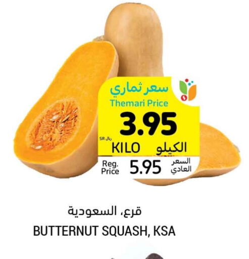 Squash available at Tamimi Market in KSA, Saudi Arabia, Saudi - Unayzah