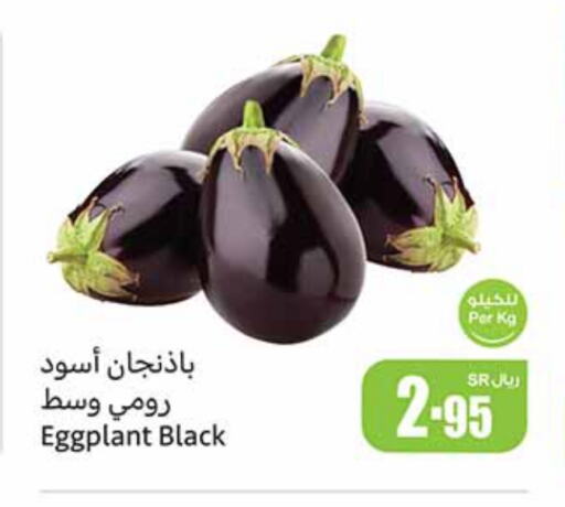 Eggplant available at Othaim Markets in KSA, Saudi Arabia, Saudi - Al Majmaah