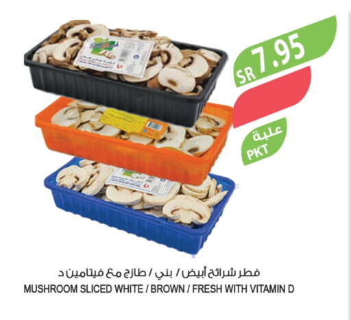 Mushroom available at Farm  in KSA, Saudi Arabia, Saudi - Sakaka