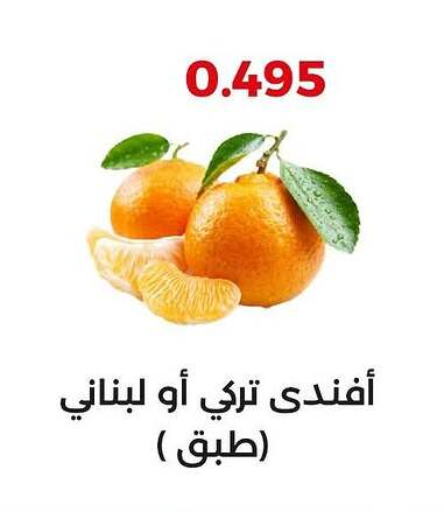 برتقال available at جمعية العديلة التعاونية in الكويت - محافظة الجهراء