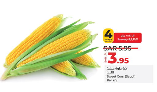 from Saudi Arabia available at LULU Hypermarket in KSA, Saudi Arabia, Saudi - Riyadh