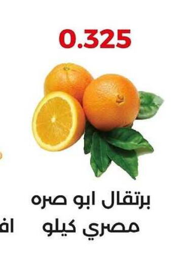 Orange available at  Adailiya Cooperative Society in Kuwait - Jahra Governorate